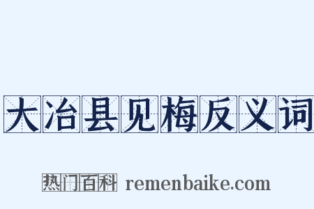 大冶县见梅反义词是什么意思的图片